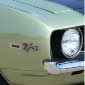 American's Avatar